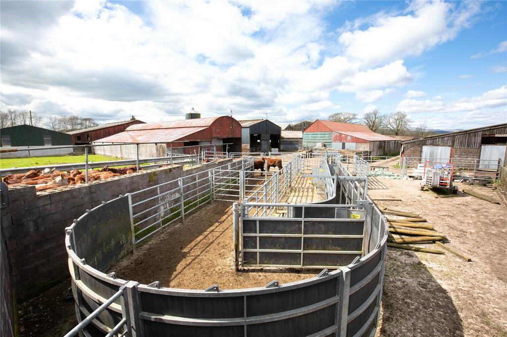 Livestock Handling