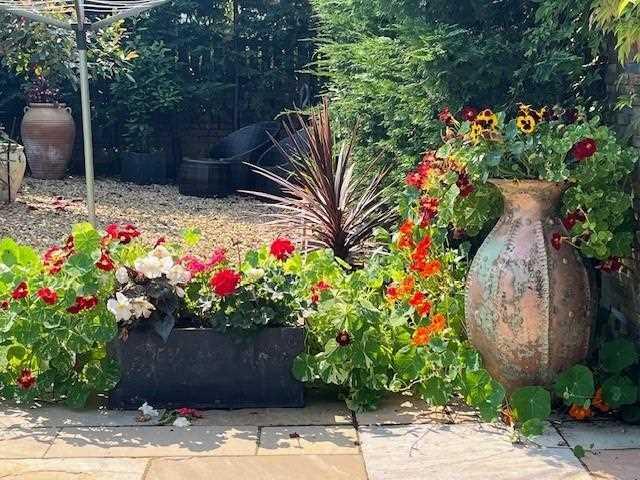 Additional Garden