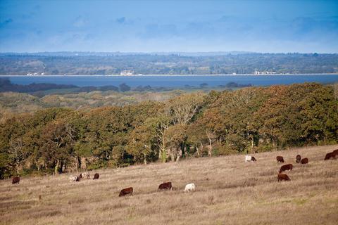 Farm for sale, Isle of Wight, PO30.