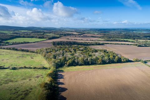 Farm for sale, Isle of Wight, PO30.