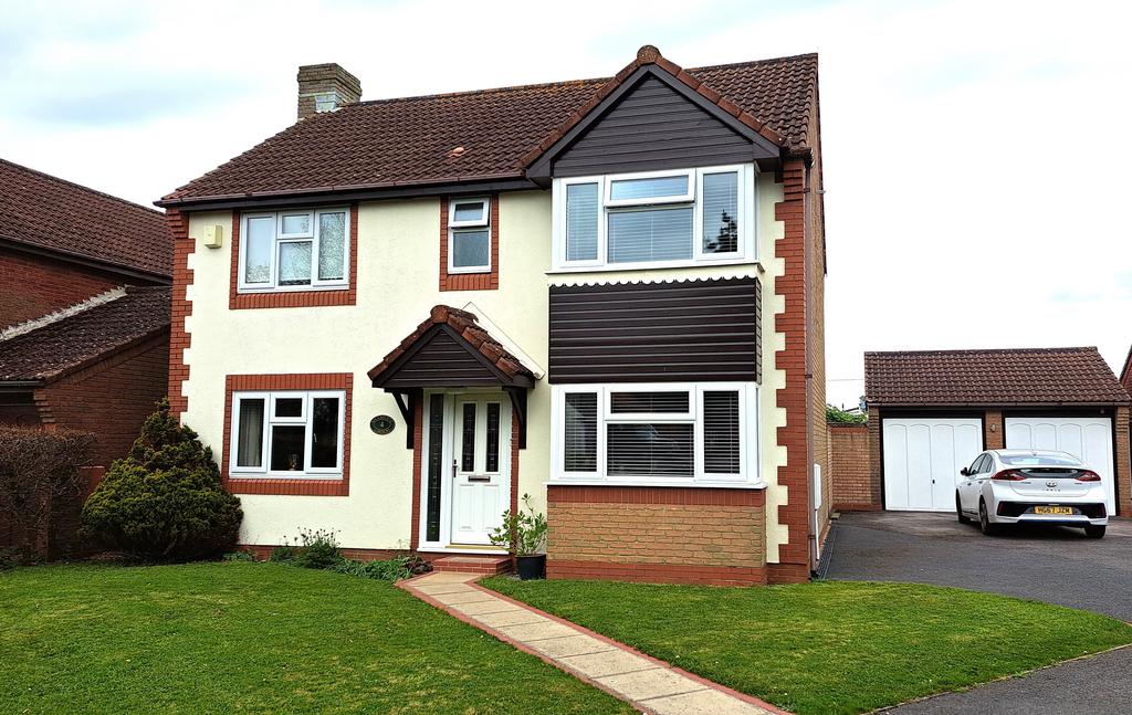Front Aspect