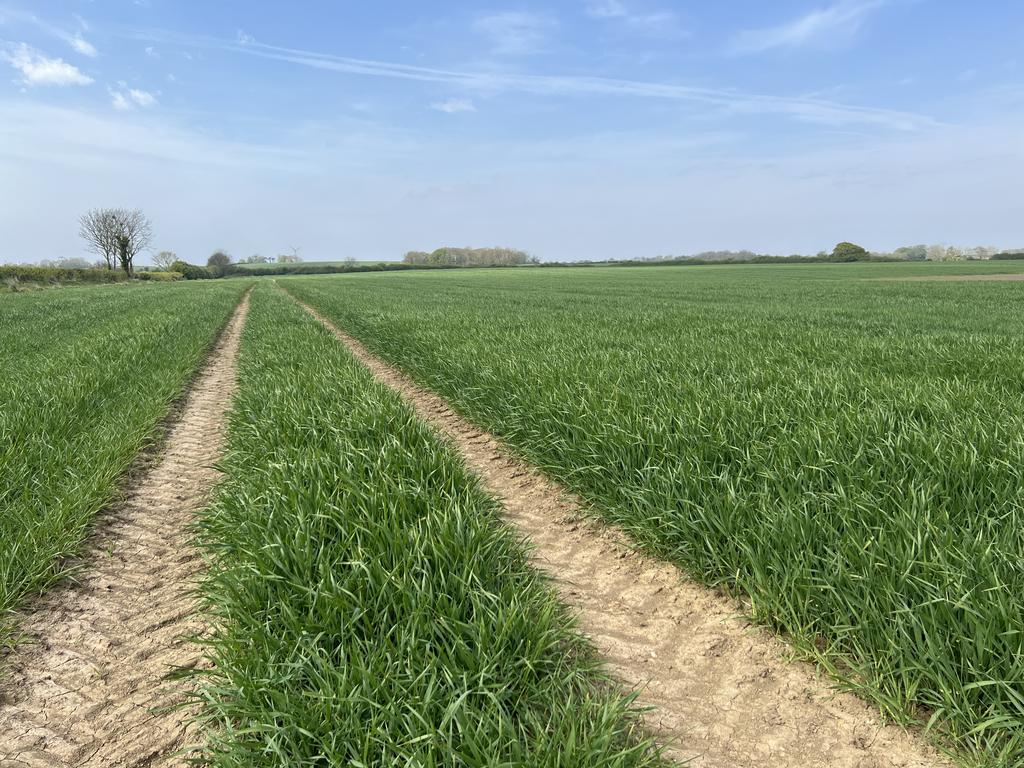 86.52 Acres Arable Land