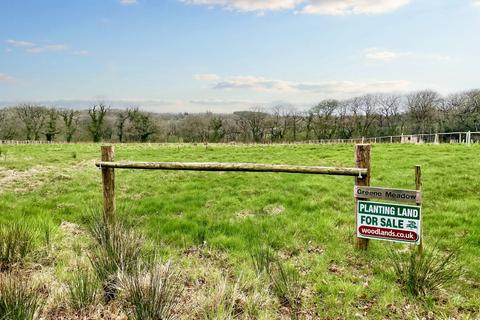 Woodland for sale, Bendibus Hill, Holsworthy, Devon EX22