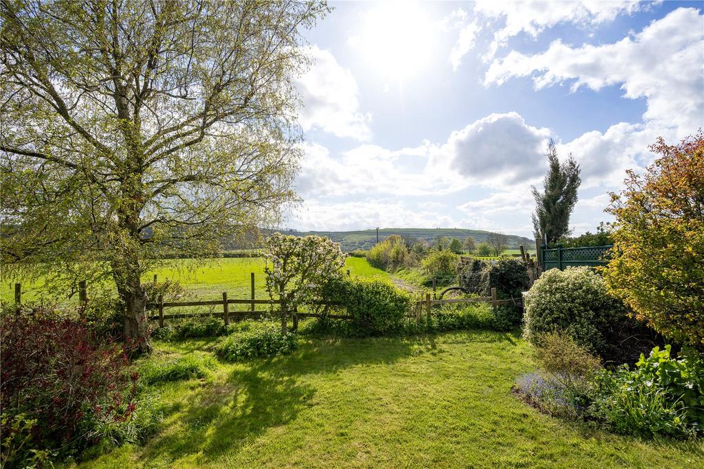 Garden and View