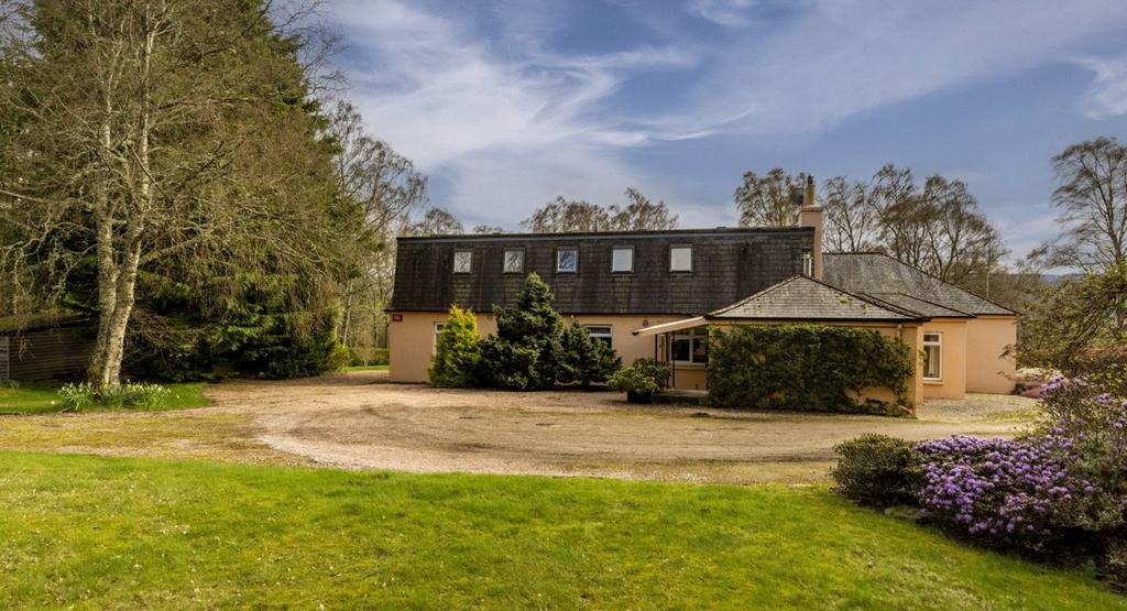 Back Of Property