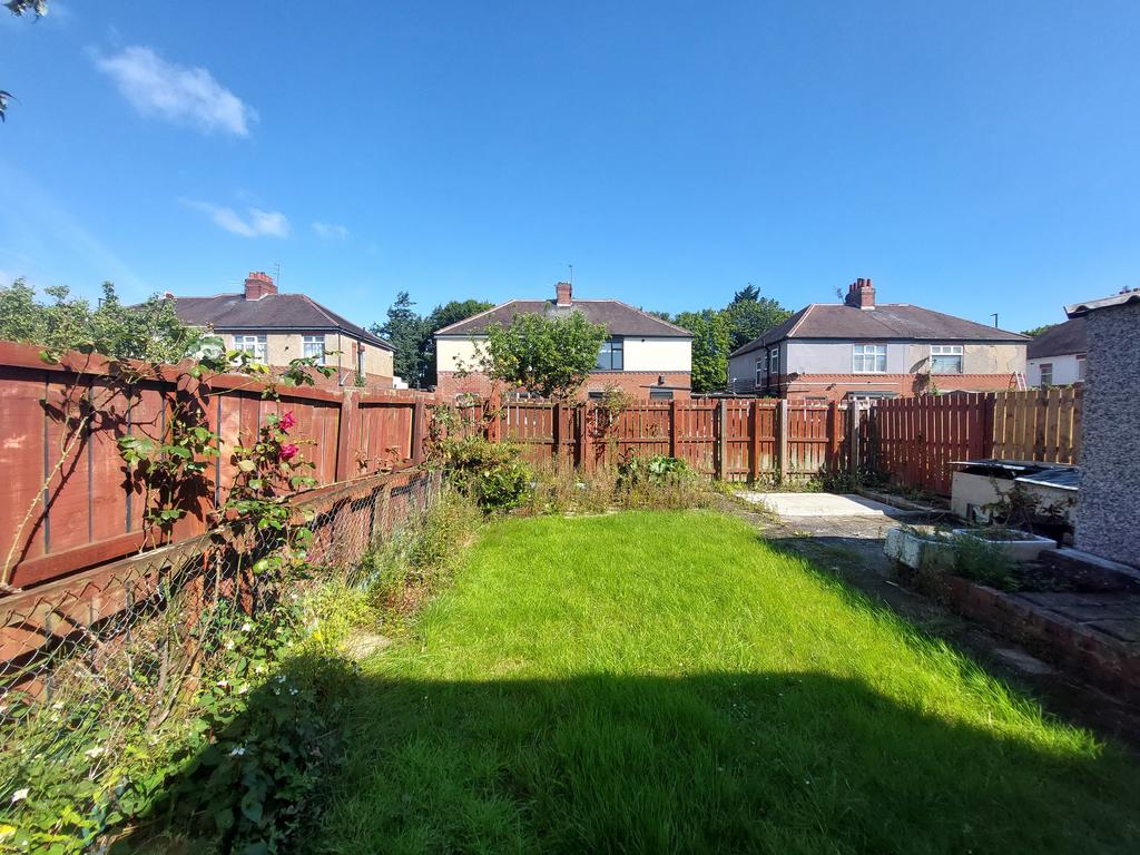 Back garden