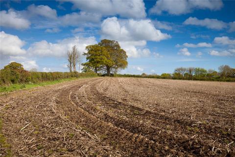 Land for sale, Grange, Dorset BH21