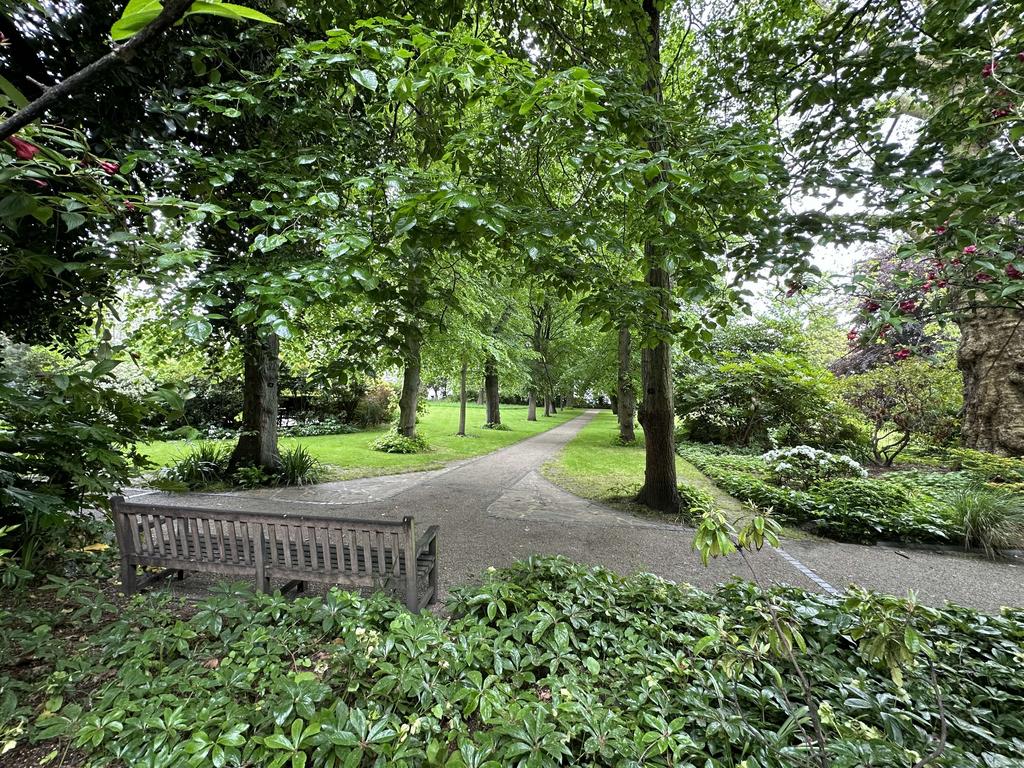 Communal Gardens