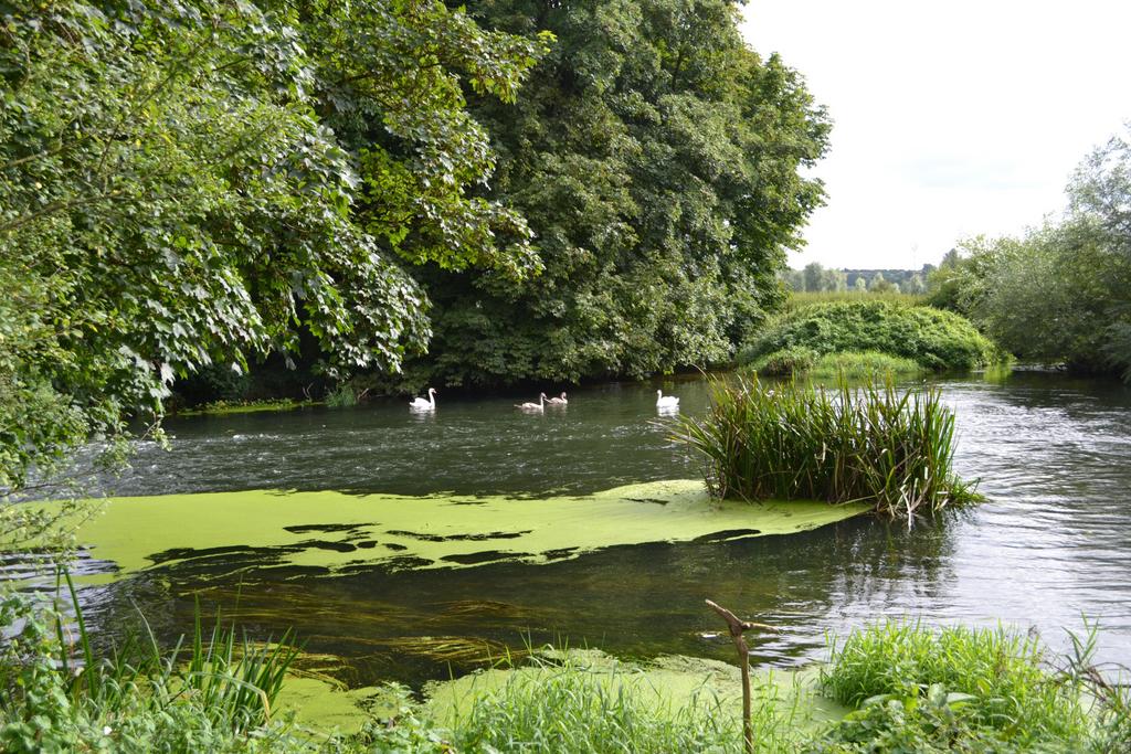 River