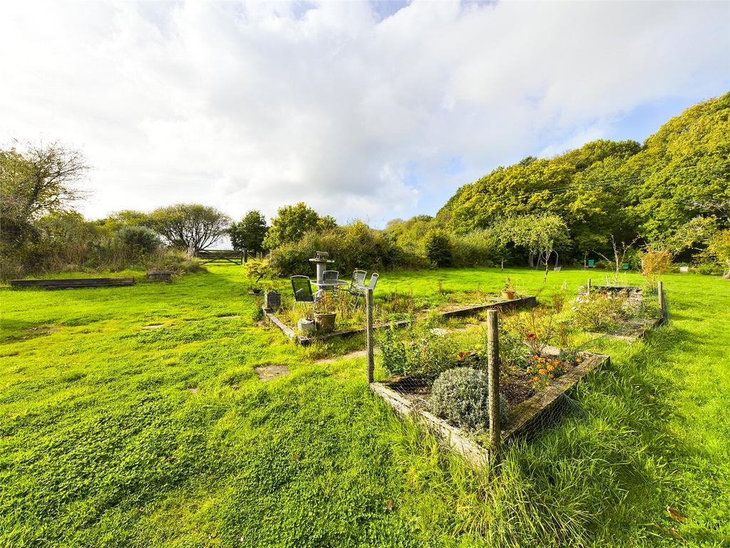 Vegetable Garden