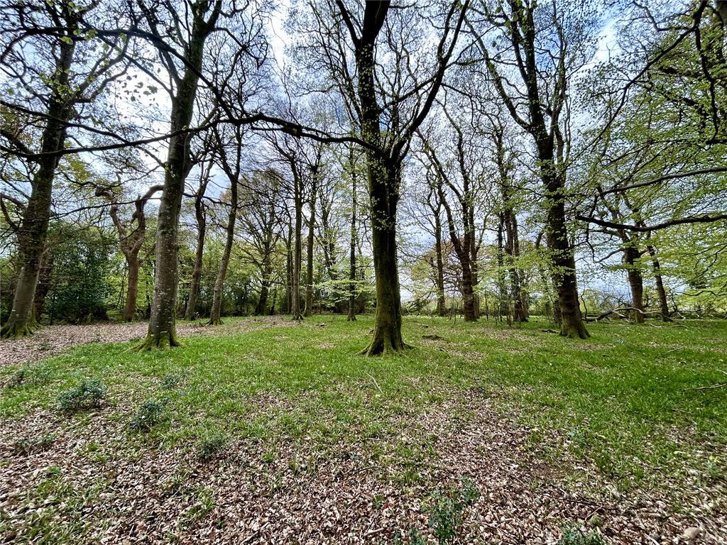 Woodland