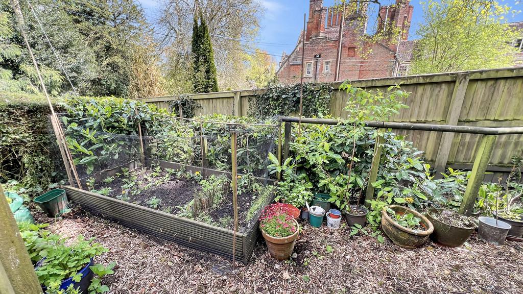 Communal garden