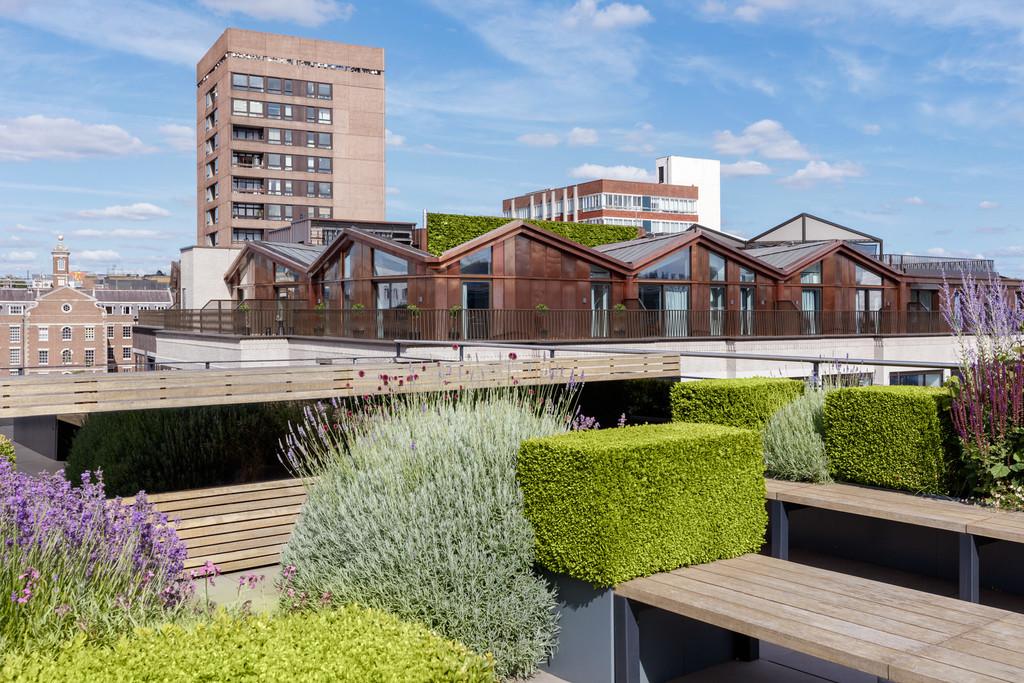 Carnaby Lofts external (Summer)