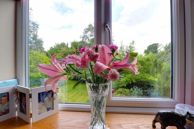 Dressing Room Window