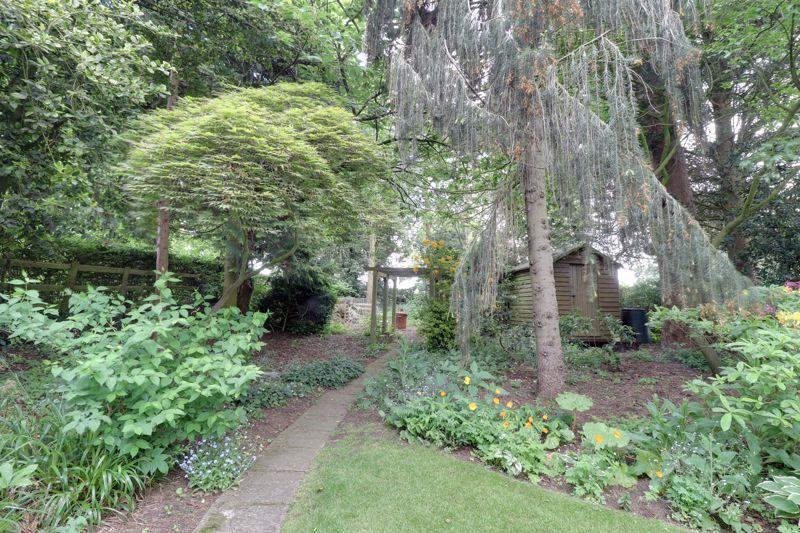 Wooded Garden Area