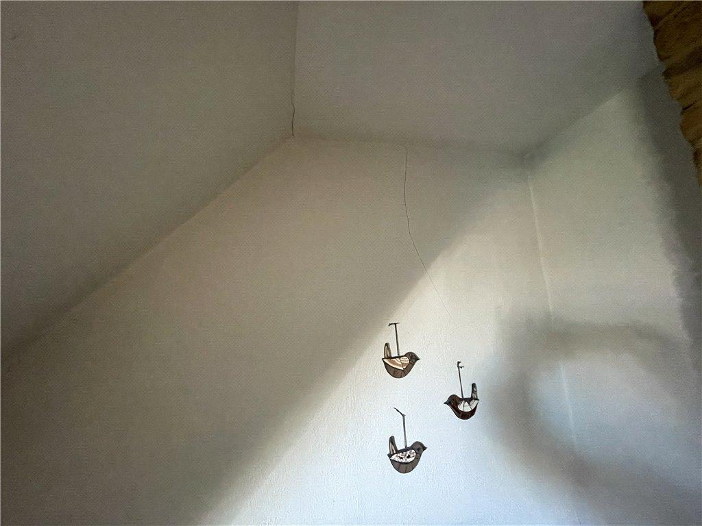 Picture No. 21