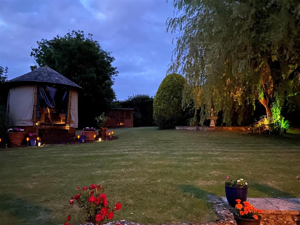 Night garden shot.jpg