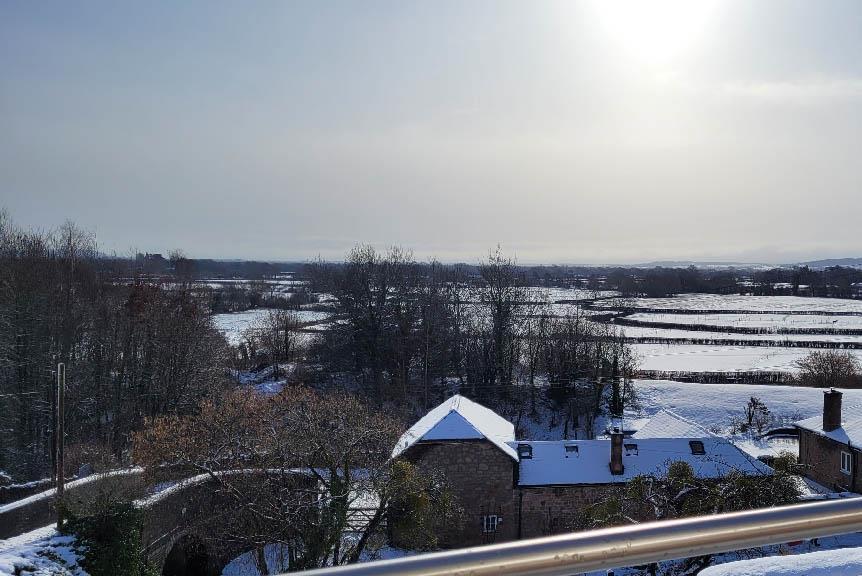 Winter Cyndor 2023.jpg