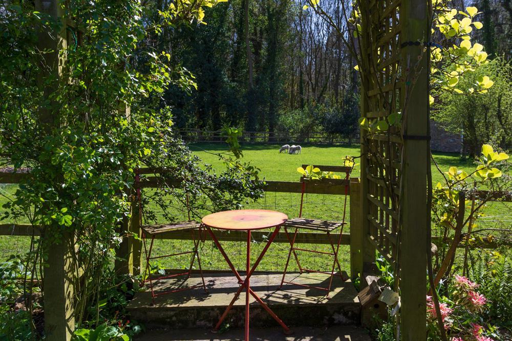 Pergola and View