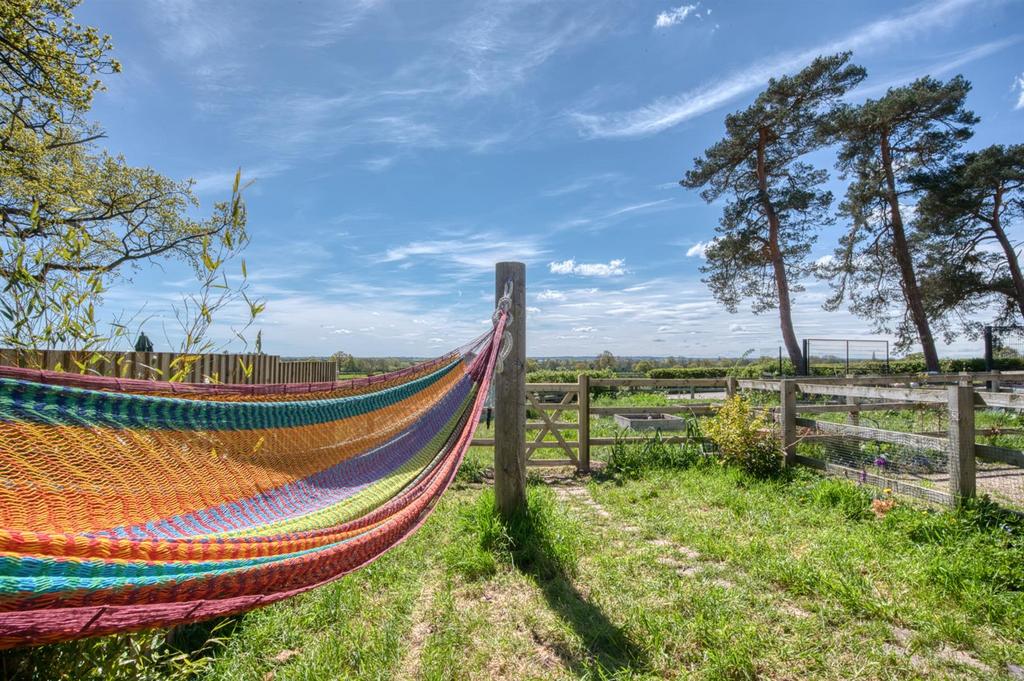 Front Garden   hammock.jpg