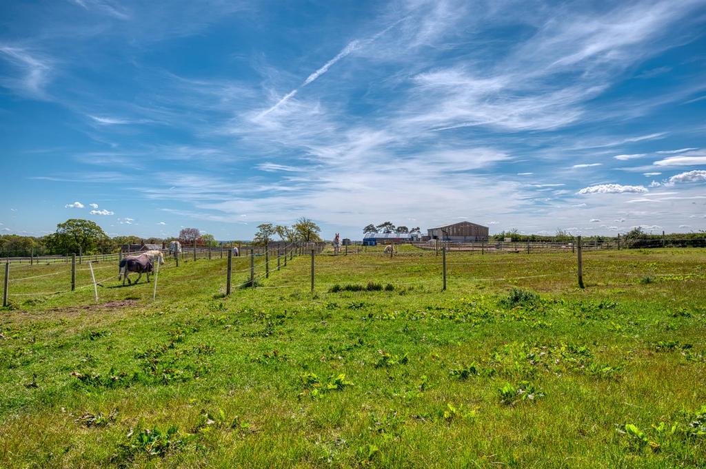 Paddocks towards stable block.jpg