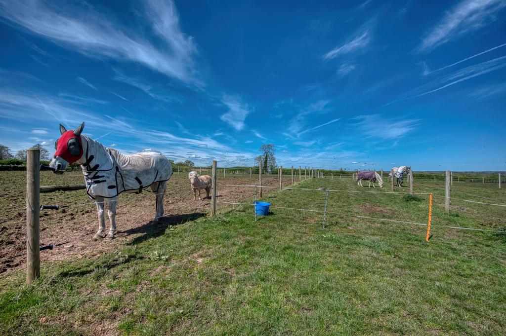 Paddocks with horses.jpg