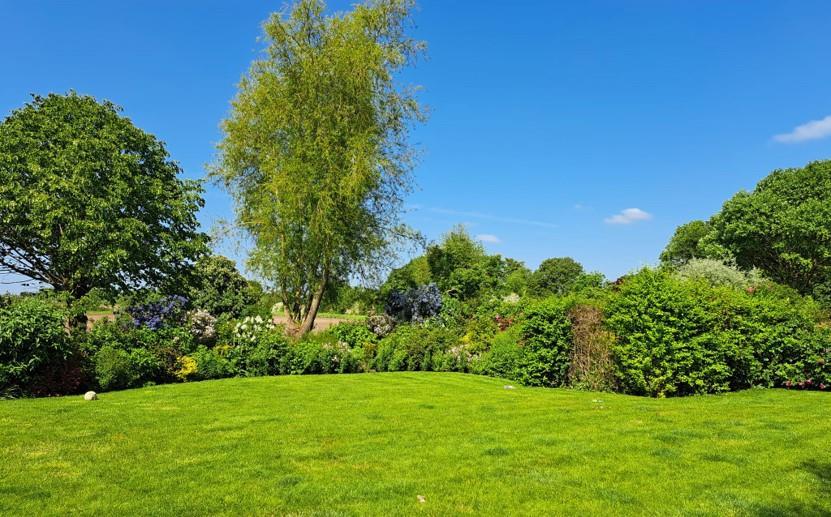 Garden rear.jpg