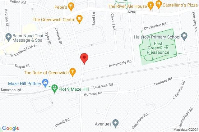 Google Maps Image