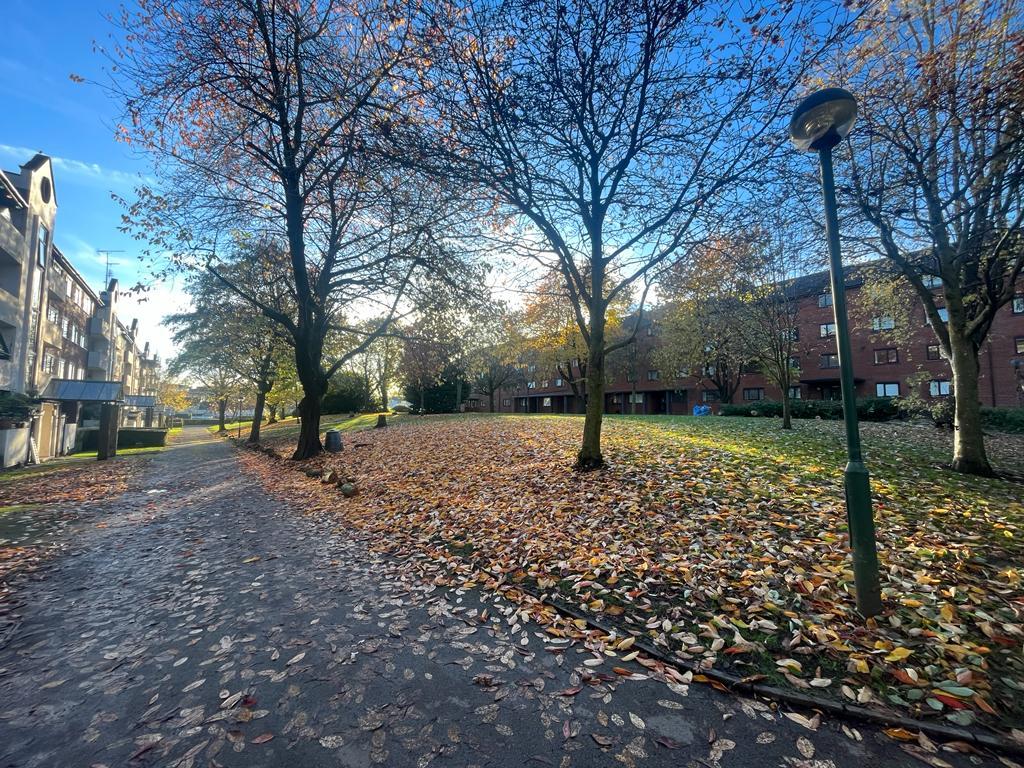 Communal Gardens