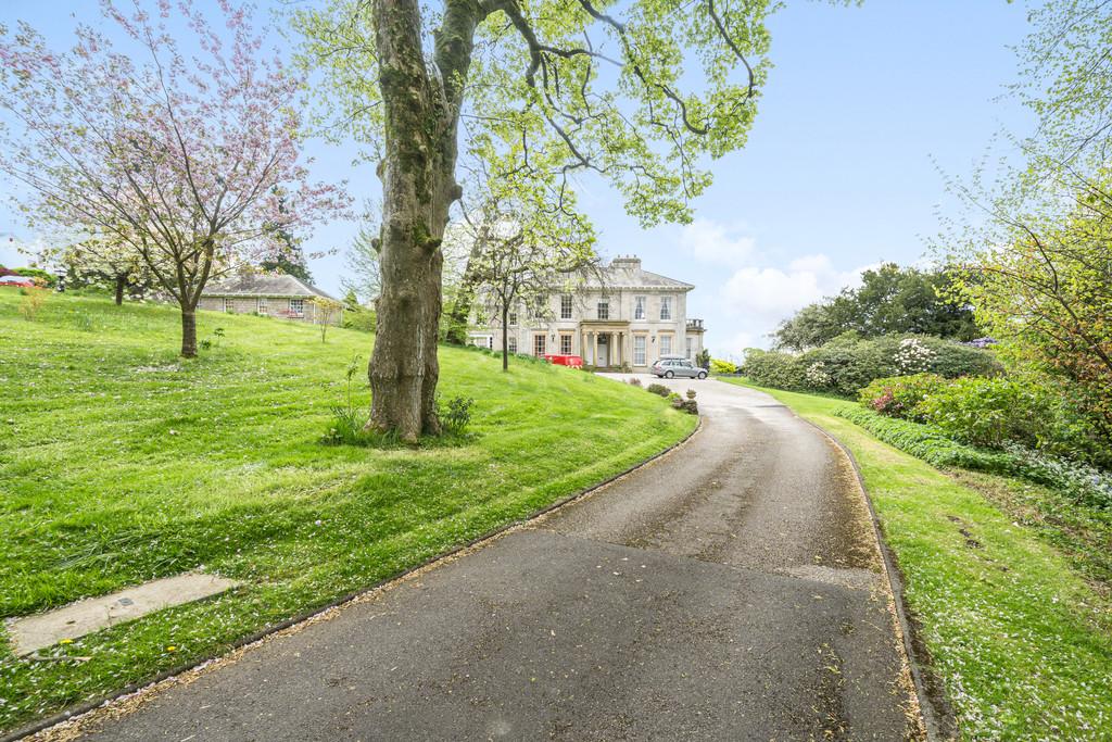 Sweeping Driveway