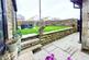 Rear Patio & Lawn