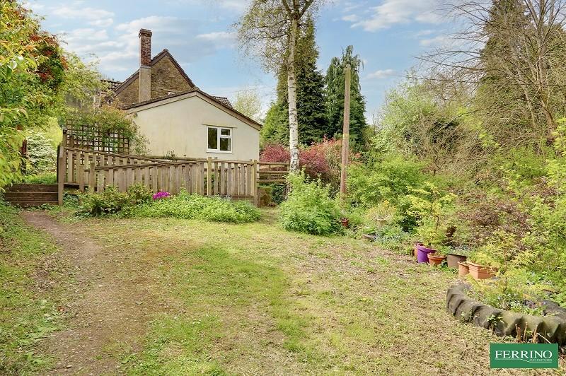 Vegetable Garden