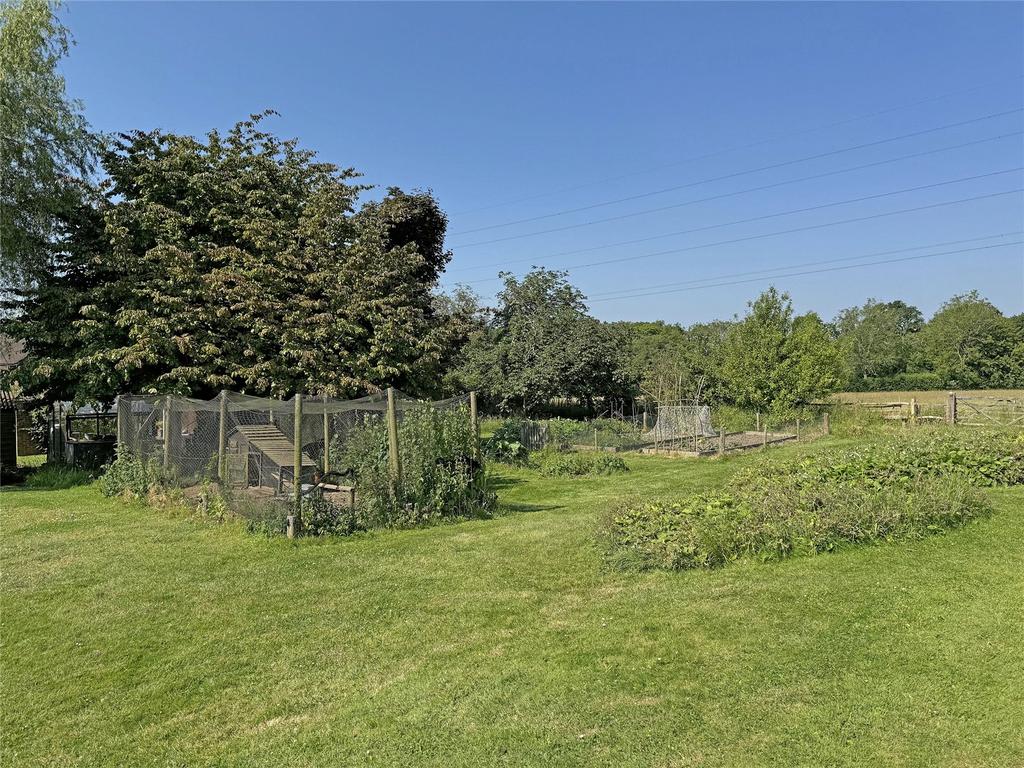 Kitchen Garden