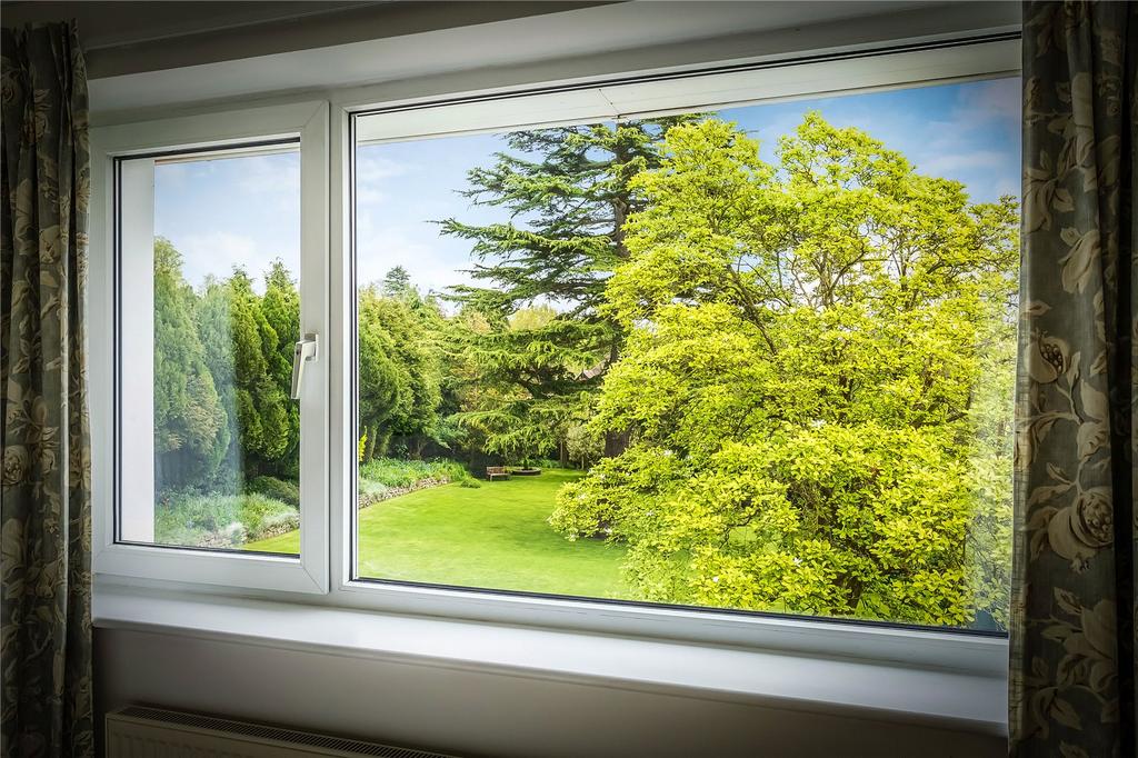 Bedroom View