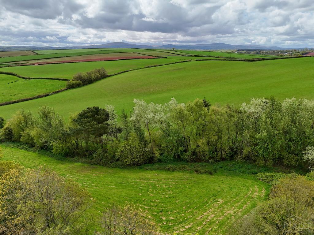 Aerial Dartmoor View