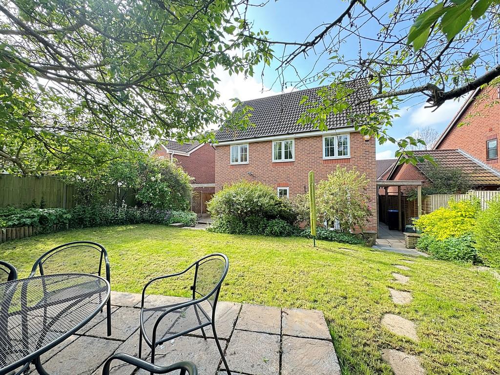 Rear Patio View