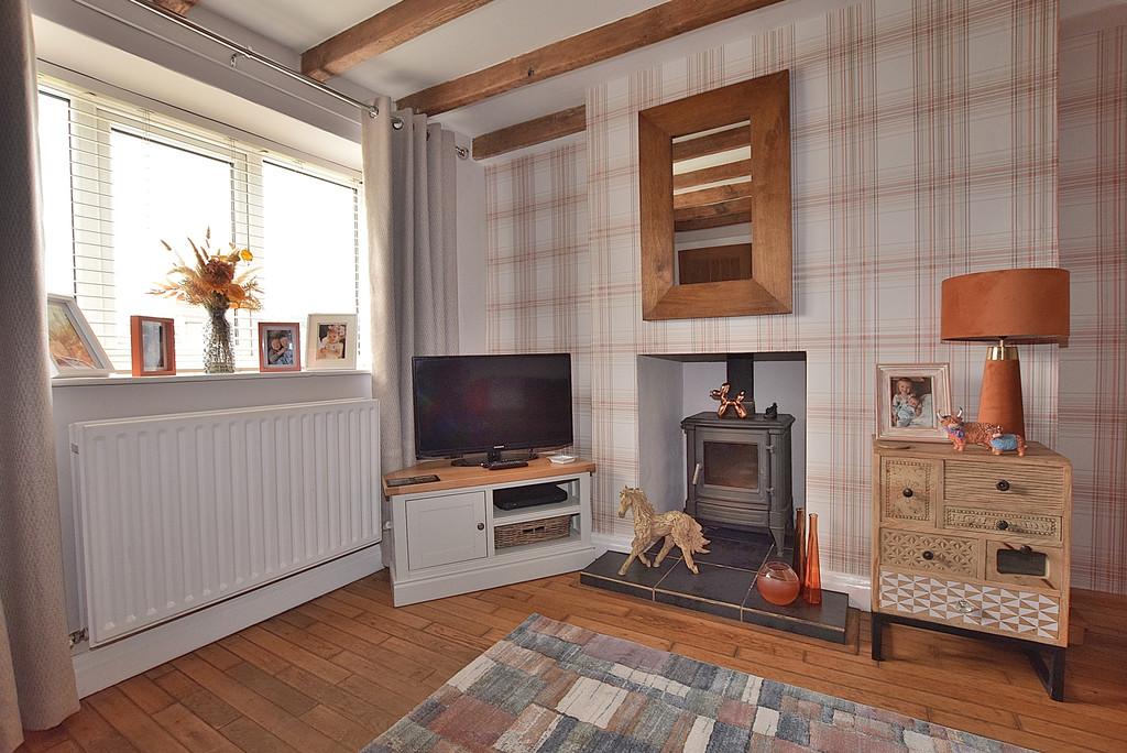 Log burner 01