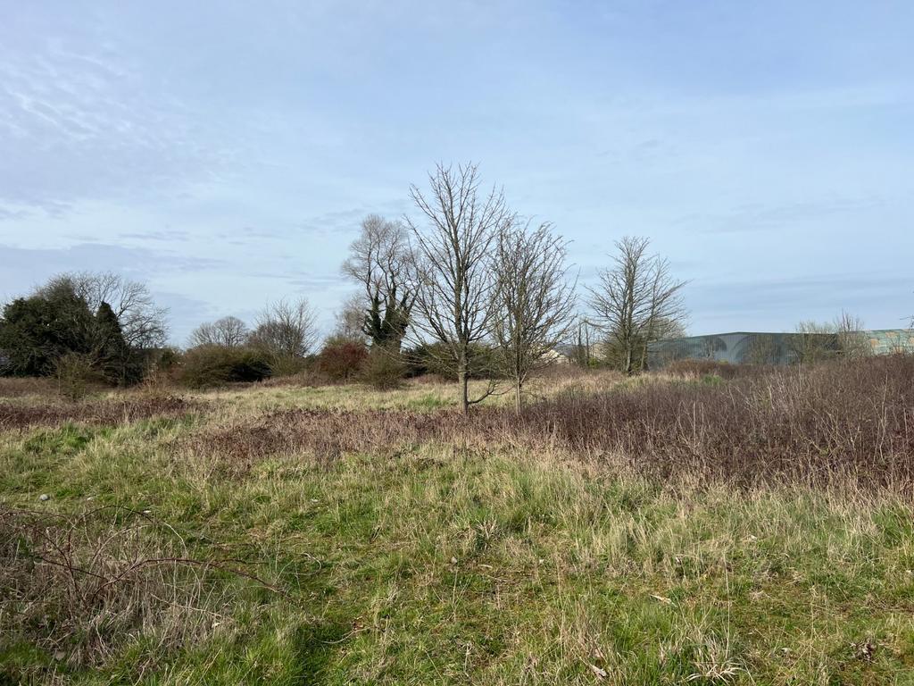 Picture No. 08
