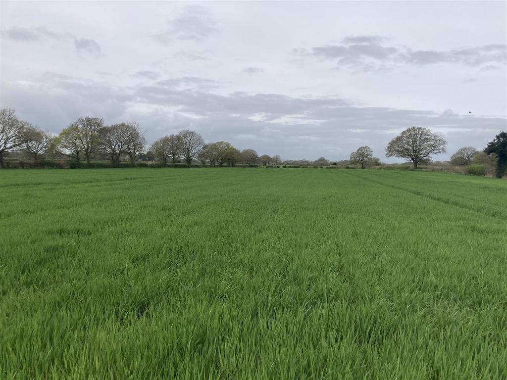 Wigginton & Haxby, York Land for sale £255,000