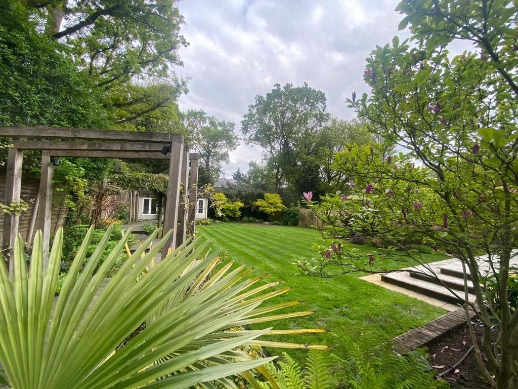 Garden 4jpg.jpg