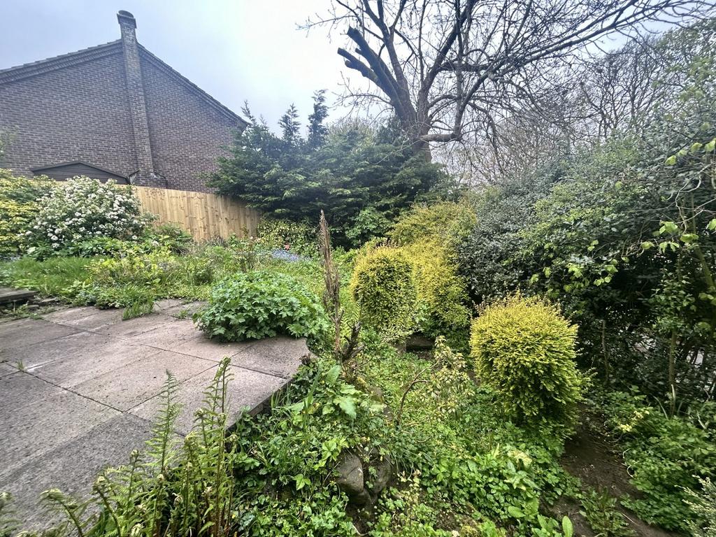 Side Garden