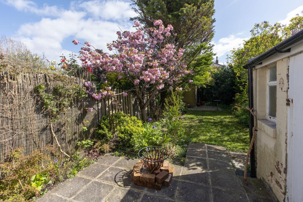 Back Garden