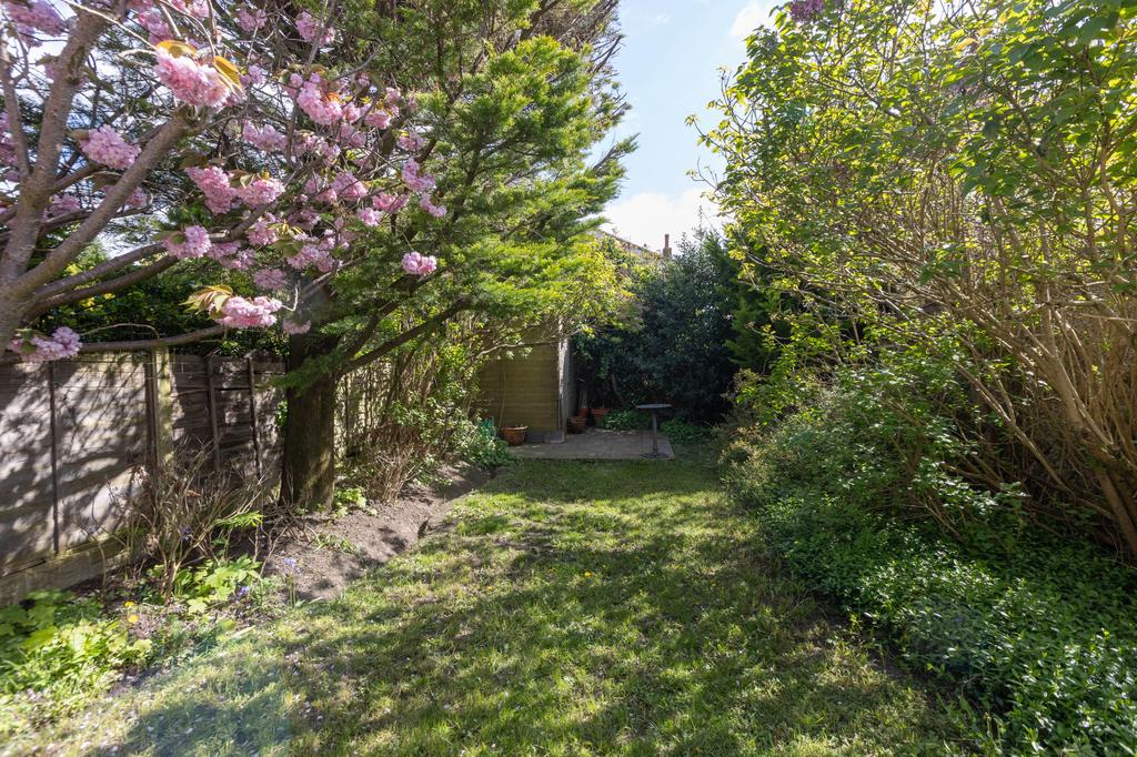 Back Garden