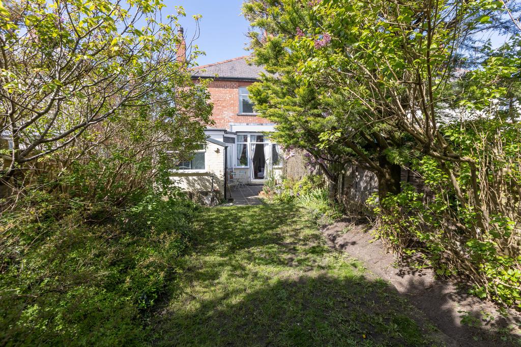 Back Garden
