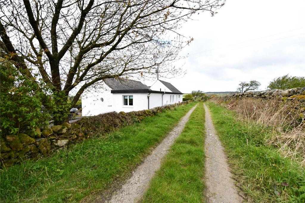 Lane Behind