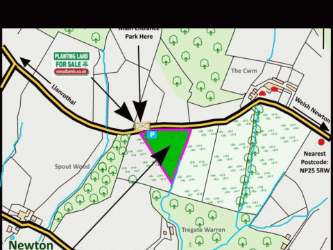 Land for sale, Near Llanrothal , Monmouth NP25