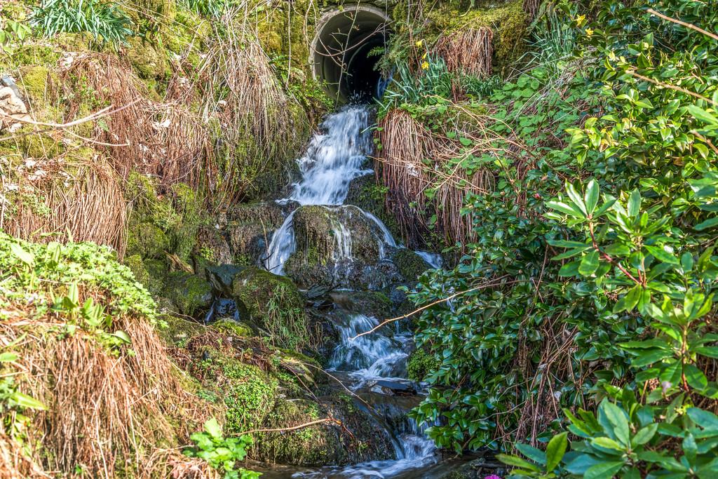 Stream