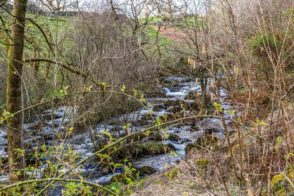 The River Kent