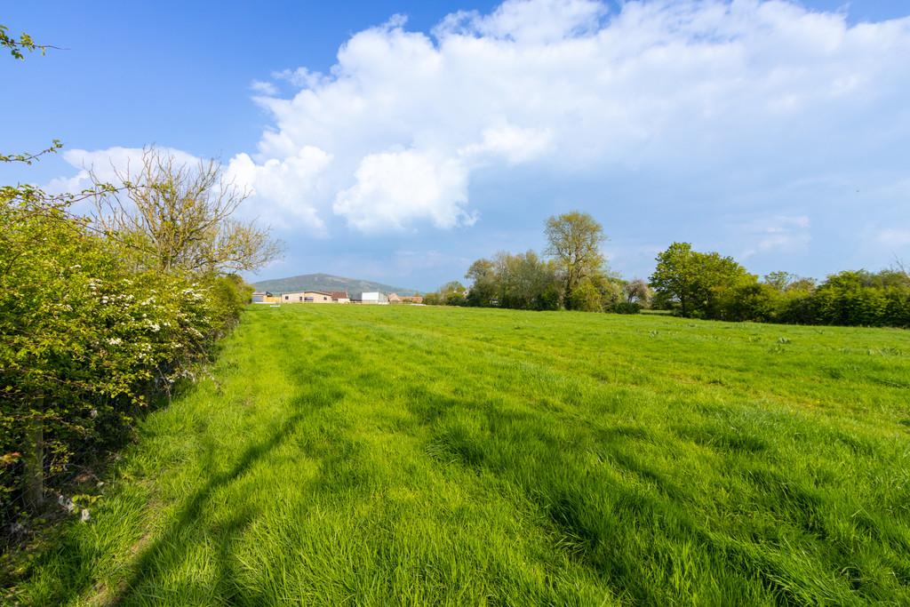 Paddock with view to house and Crook Peak