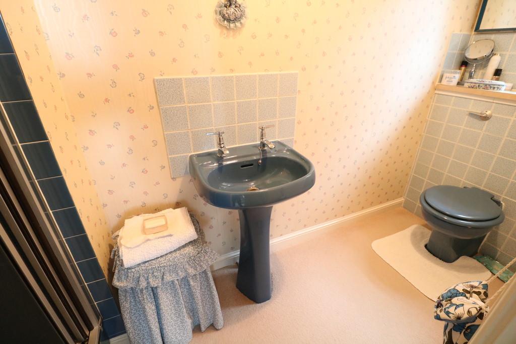Img 1855
